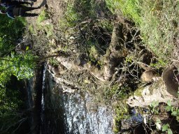 travaux renforment berge